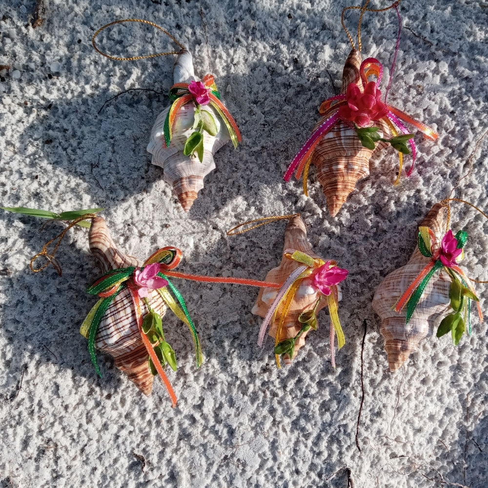 Shell Ornaments